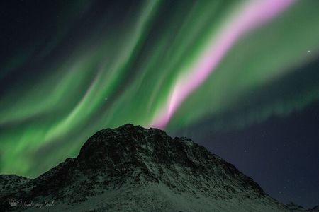 Express Aurora Hunt with Cruise Ship Pick up and Drop off