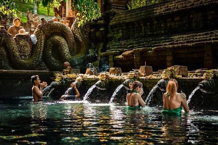 Ubud Waterfalls Water Temple and Rice Terraces Tour