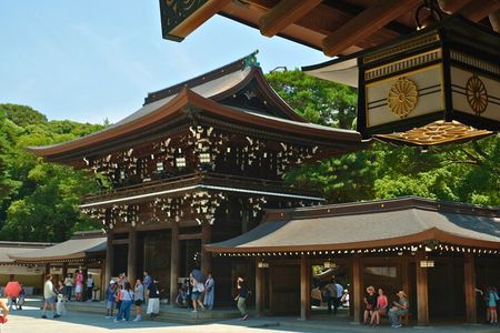 Tokyo Harajuku and Meiji Shrine Highlights Walking Tour