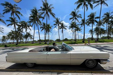 Book Here!! The Insider's Guide to a VIP City of Miami Tour!!