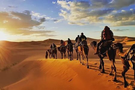 Marrakech: Agafay Desert ATV Quad Bike Camel Ride & Dinner Show