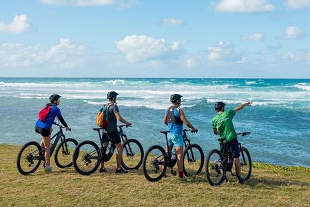 Wild South E-bike Adventure
