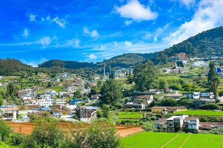 Coimbatore to Ooty Day Trip - Explore A Perfect Hill Station 