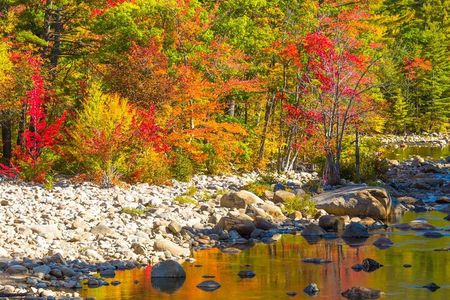 Boston to White Mountains, Lost River Gorge Fall Foliage Day Trip