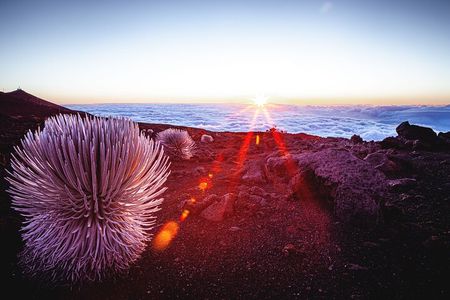 Haleakala Volcano & Ocean Vodka Sunset Tour