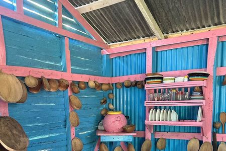 Punta cana scenic tour with lunch horses and cenote