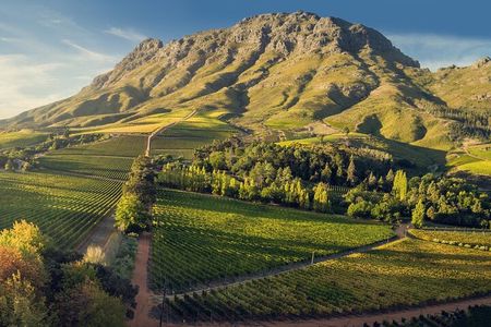 The Best Wine Walking Tour in Stellenbosch
