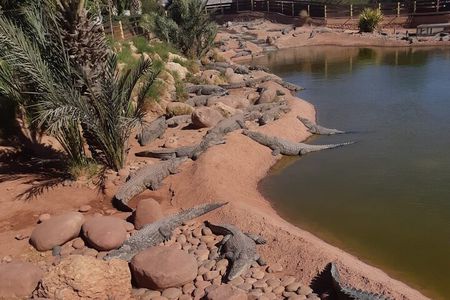 Visite the Crocodiles Park and Botanic garden