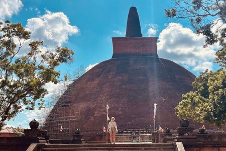 11 Days, Classic Tour for Sri Lanka - Guide, Vehicle & HB Stays