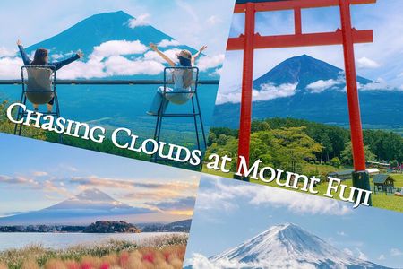 From Tokyo Mt.Fuji, Lake Kawaguchi, Makaino Farm day tour