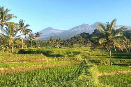 Full day tour lombok: waterfalls, tradition, rice field terrace