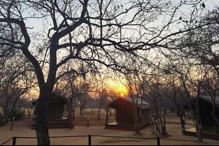 2 Day Sekekama Glamping Safari