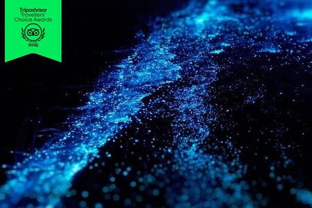 Bioluminescence Cocos Tours