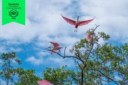 Bird Watching boat tour in the Gulf of Nicoya