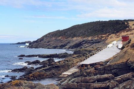 Scenic Bus Tour of the Northeast Avalon from St. John's