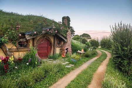 Private Tour from Auckland Hobbiton Movie Set and Te Puia Magic