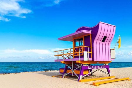 Coming to Miami?! START HERE! Best of Miami in a day Tour! 