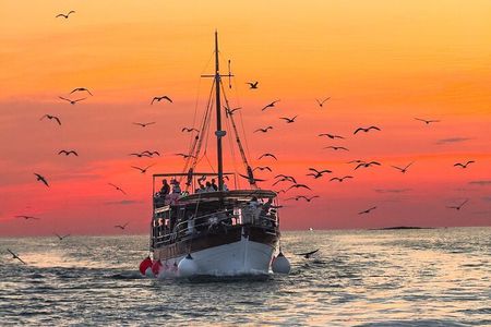 2-Hour Dolphin Guided Safari NP Brijuni from Fazana 