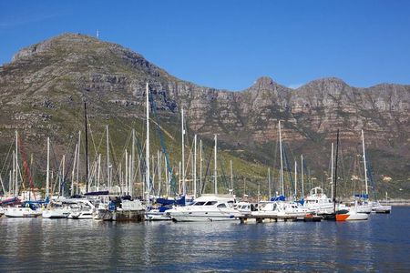 Cape Peninsula Full Day Tour with Penguins and Ocean Views