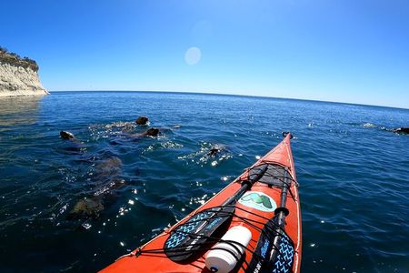 Kayak Paddling Experience with Sea Lions in Puerto Madryn