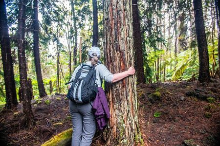 Kona Cloud Forest Sanctuary Pantropical Tour (1.5 hrs)