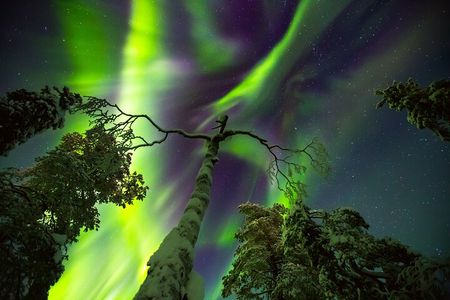 Northern Lights Hunt & Photography Experience