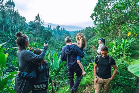 Banana Bliss Plantation Coffee Medicinal and Waterfall Tour
