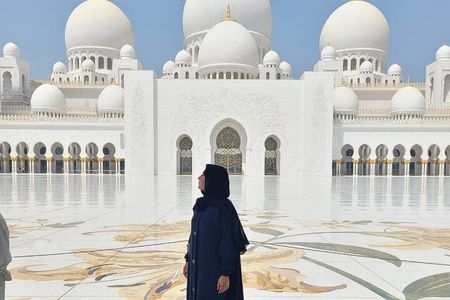 Abu Dhabi Aladdin Tour: Grand Mosque, Etihad, Palace, & Louvre