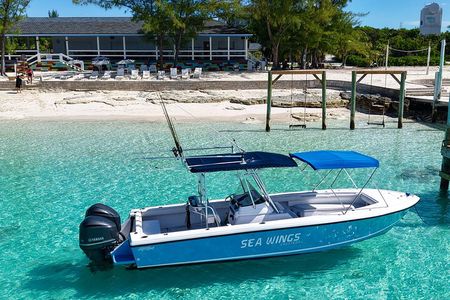 Rose Island Private 4hrs Snorkeling Turtles beaching 