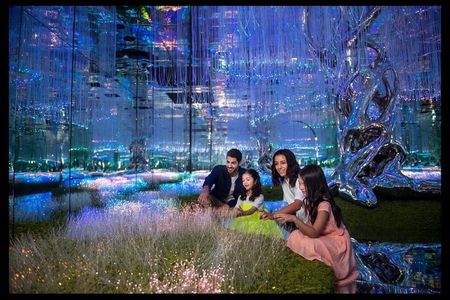 Dubai Private Tour: Aya, Frame, Miracle Garden & Global Village