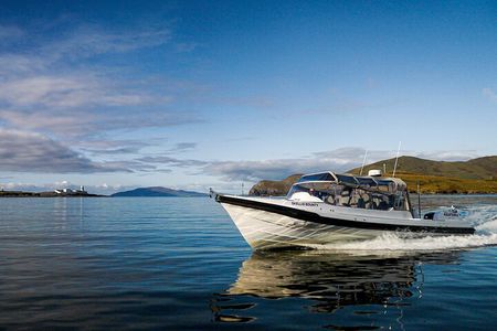 The Valentia Island Experience