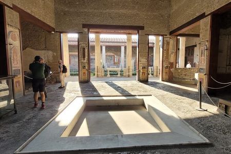 Discover Pompeii: Guided Tour with Official Ticket & Fast Access