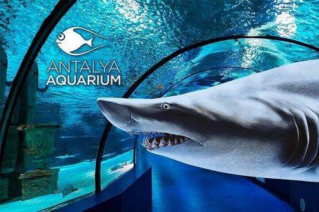 Antalya Aquarium & Fun Park Tour–All-Inclusive with Hotel Pickup
