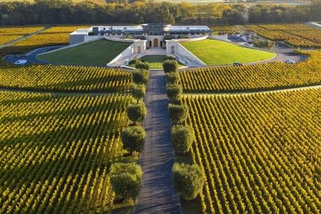 Napa Private Wine Tour to Caymus and Opus One Wineries - up to 4
