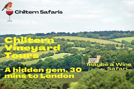 Chilterns Blue Line Wine Tour Explore Boutique Vineyards