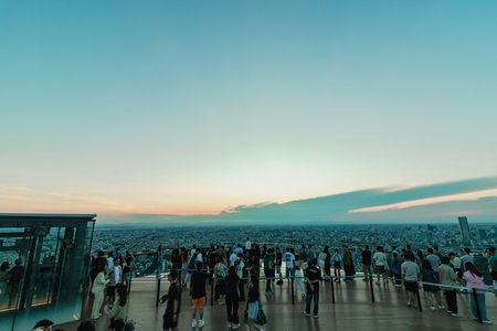 Shibuya Guided Tour to Hachiko and Sky Views