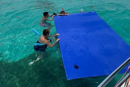 Private 4 Hour Snorkel and Sandbar Charter in Islamorada