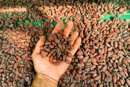 Chocolate Tour Basic: Self-drivers without lunch