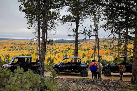 Woodland Park: 2 Hour Guided Wildlife Sunset UTV Tour - You Drive