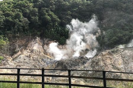 Sulphur Springs Mud Bath Volcano Tour and Waterfall with Lunch