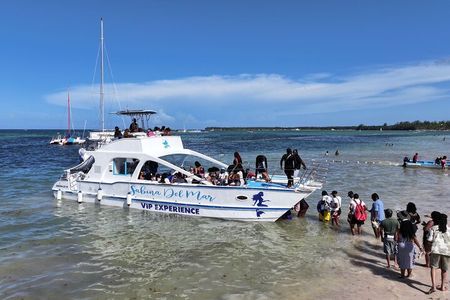 Private Cruise with BBQ - Slide And Open Bar