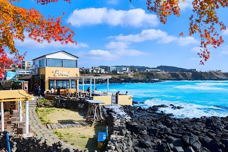 Jeju WEST&SOUTH One Day Tour with MT.halla & Aewol