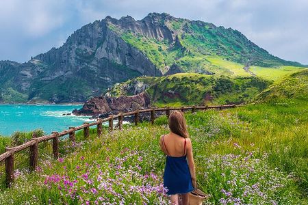 Jeju island Eastern UNESCO site Full Day Guided Tour
