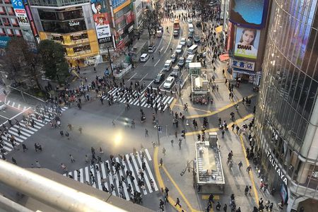 6-Hour-Tour Tokyo Highlights