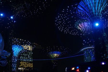 Singapore River Cruise with 2 Shows (4 hours)