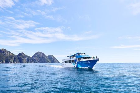 Half-day Resurrection Bay & Wildlife Tour from Seward