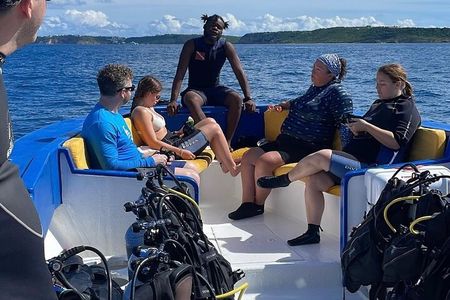 2-Tank Group Dive Experience (Certified Divers Only) in Anguilla