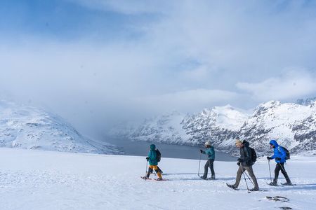 Tromsø: Arctic Snowshoe Hike with Local Guides