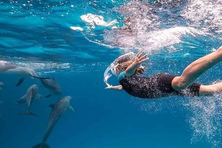 Zanzibar Dolphin and Snorkeling Tour with Beach Lunch