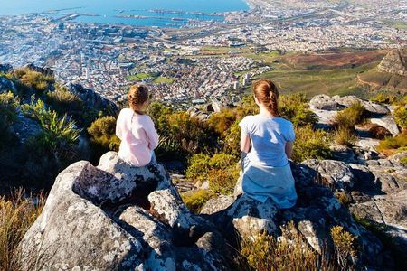 From CapeTown:TableMountain,Penguins &Wine Testing in Constantia 